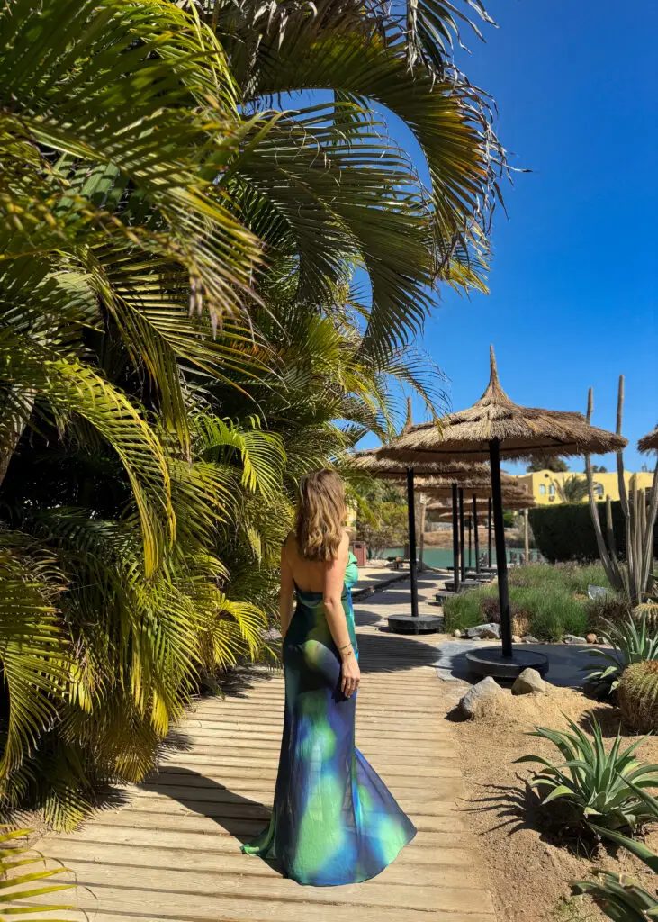 A scenic view of Crook’s Hotel in El Gouna, Egypt, featuring tropical greenery, wooden pathways, and rustic straw umbrellas under a bright blue sky, offering a serene Red Sea getaway.