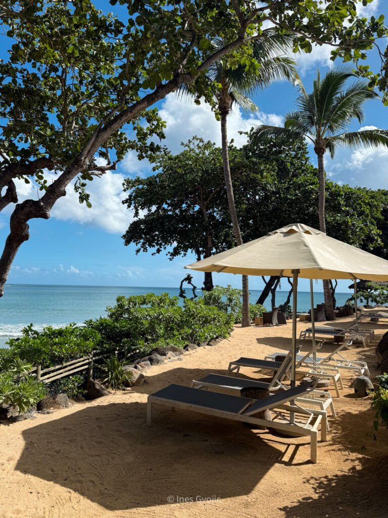 Sun loungers under umbrellas on sandy beachfront with ocean and trees at Tamarina Golf Hotel Mauritius.