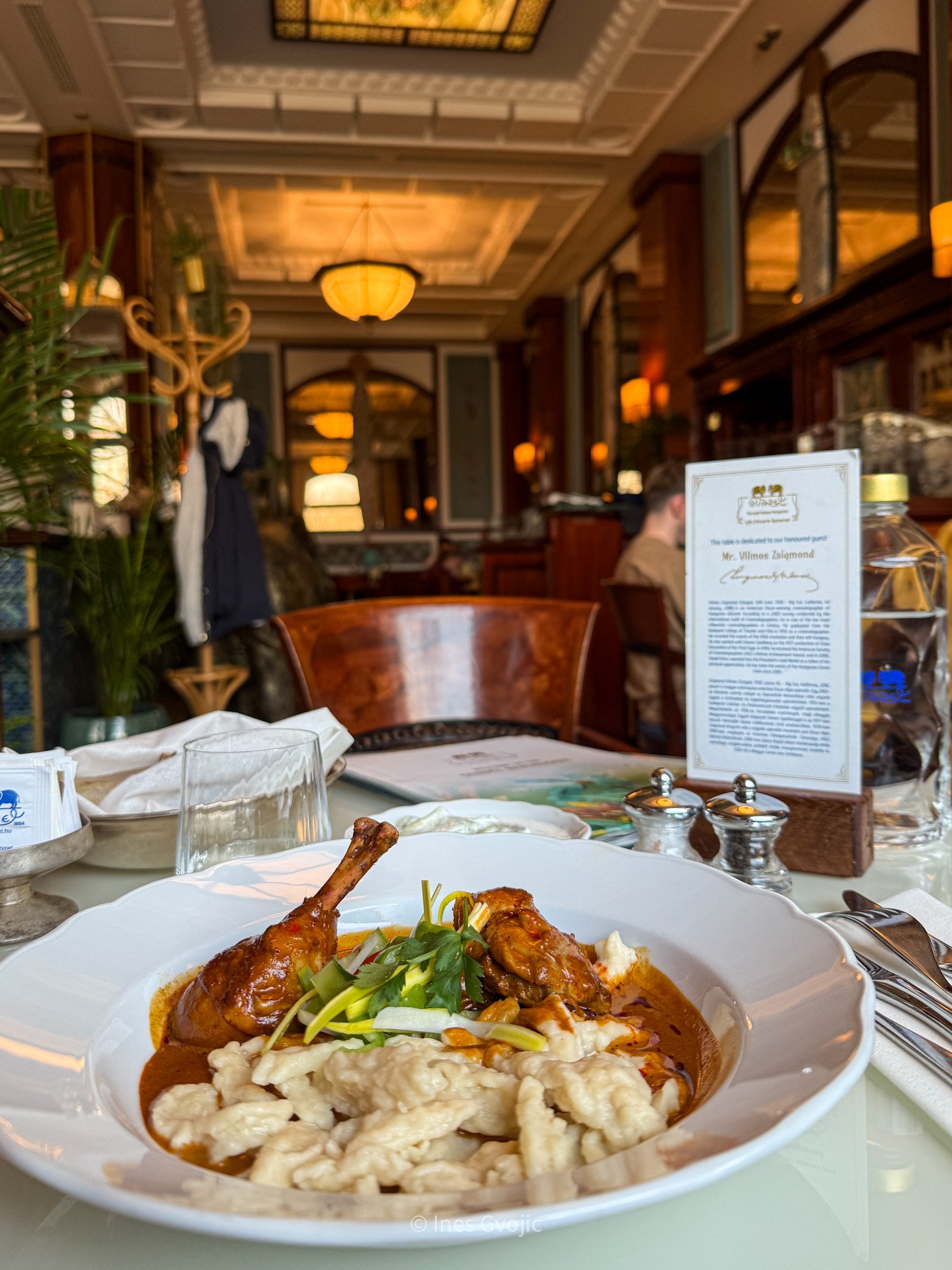 Plate of traditional Hungarian paprikas dish at Gundel Restaurant in Budapest