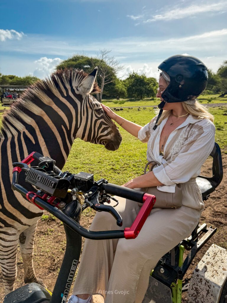 Woman on an Evo Rider meeting a zebra at Casela Nature Parks, Mauritius.