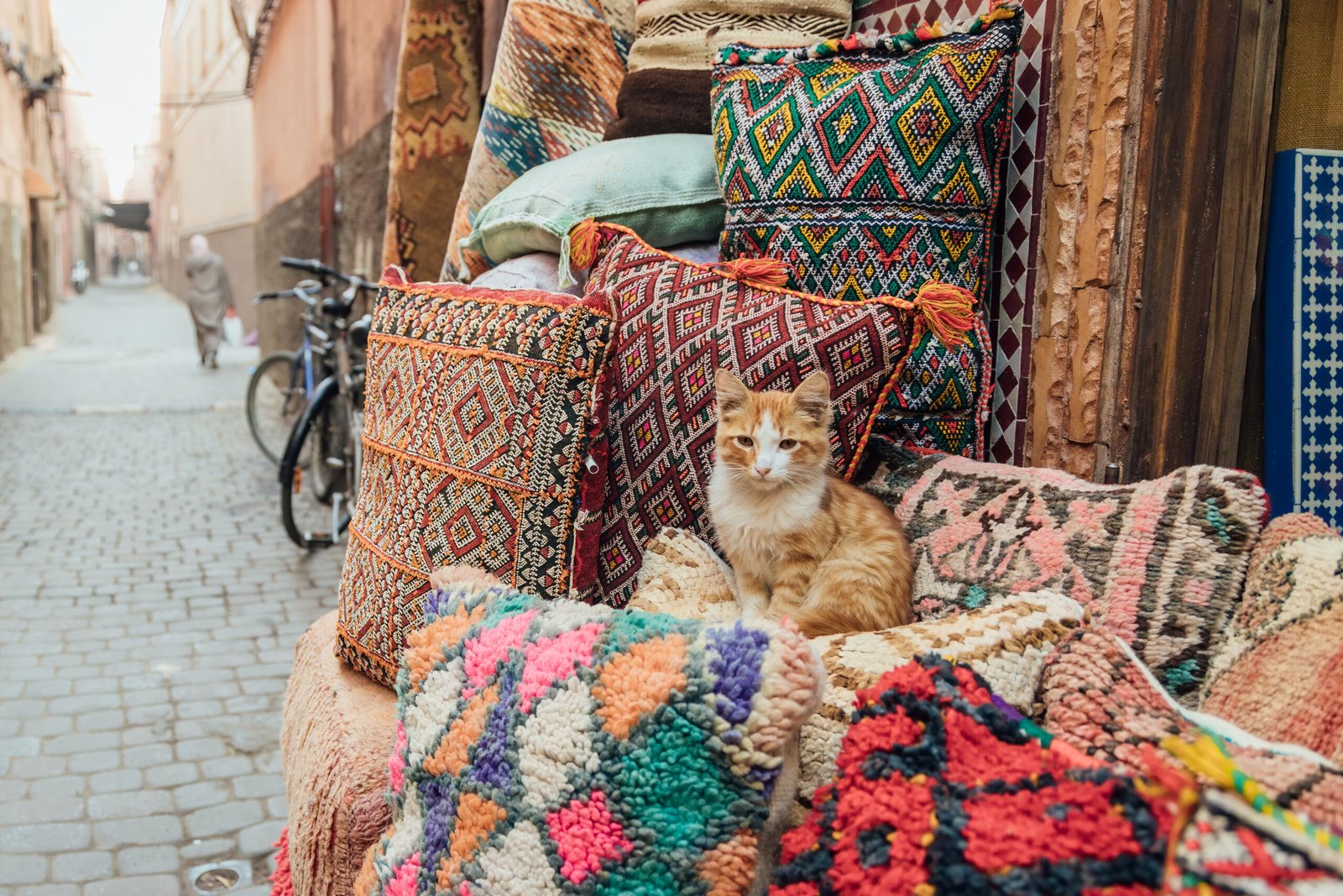 Ginger and white kitten sitting on stacked Moroccan rugs and cushions outside a shop in the medina of Marrakech.